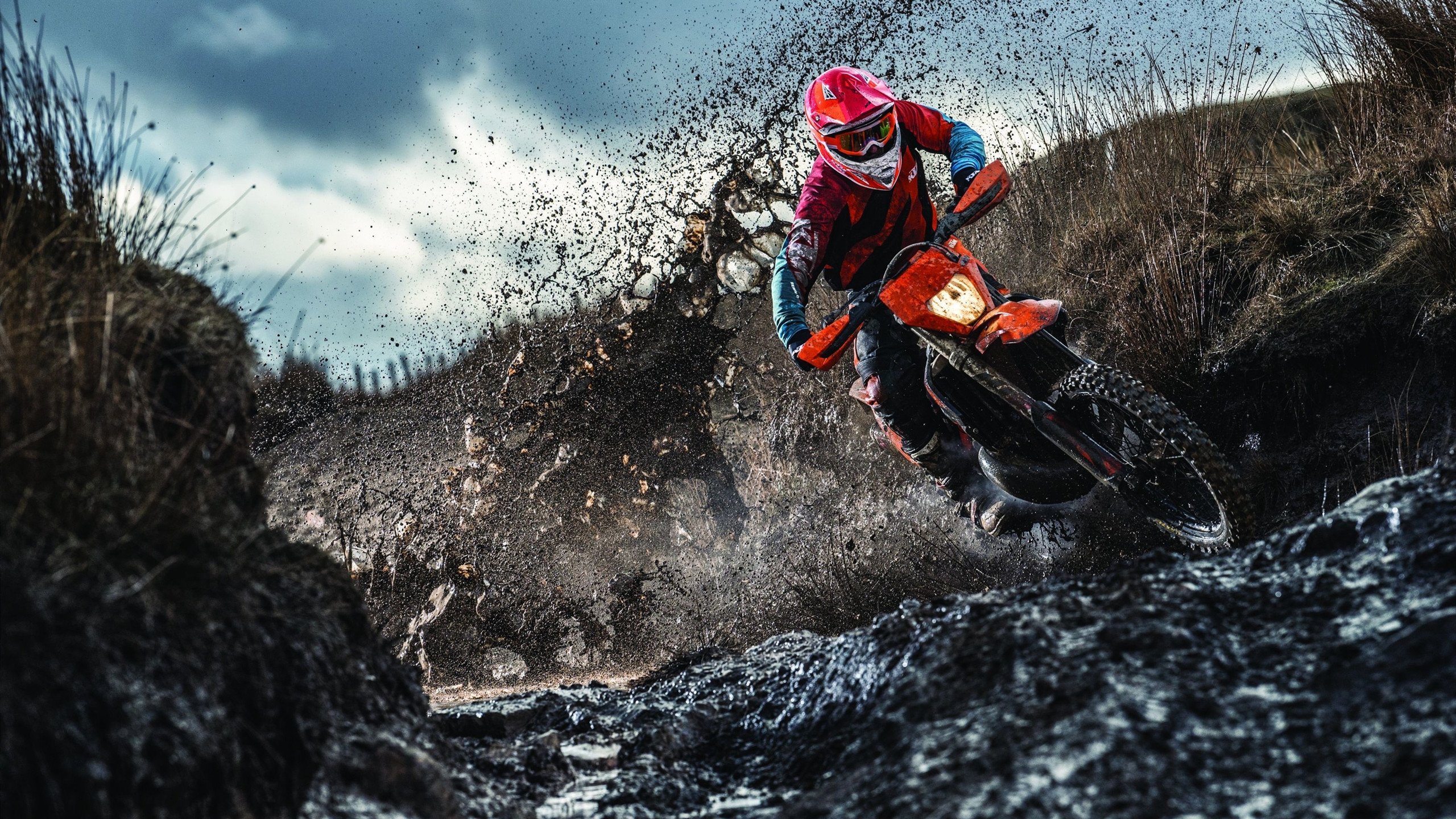 马克·阿特金森：南非队最具攻击性的边锋，实力引爆赛场，马克·阿特金斯